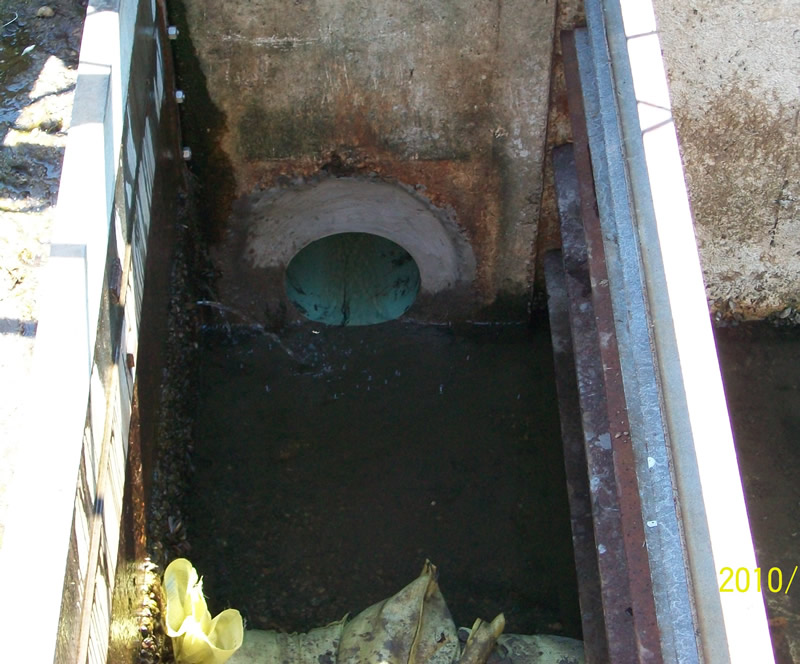 https://www.dundeemill.org/pictures/2010/12 mill park work 018.jpg